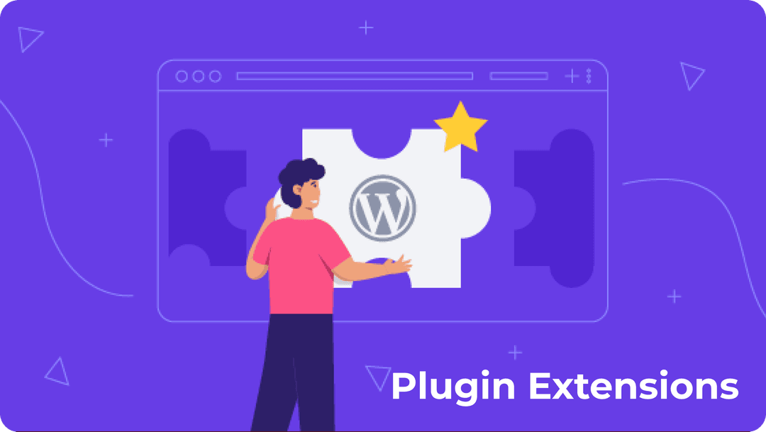 Plugin Extensions