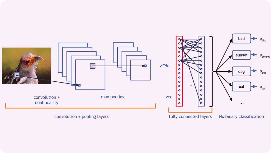 Preprocessing images including resizing, filtering, and edge detection